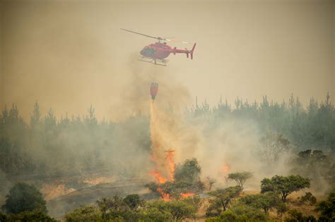 incendios forestales en chile